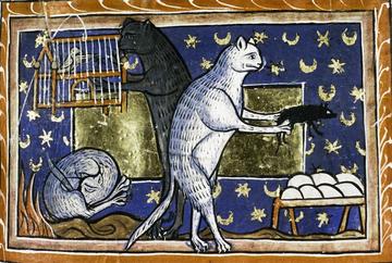 A page from a manuscript in the Bodleian Libraries